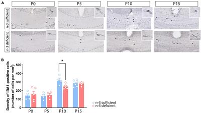 N-3 PUFA Deficiency Affects the Ultrastructural Organization and Density of White Matter Microglia in the Developing Brain of Male Mice